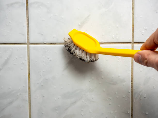 Best Mold Remediation Services  in Punta Gorda, FL