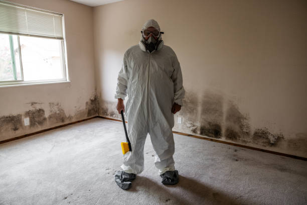 Best Crawl Space Mold Removal  in Punta Gorda, FL